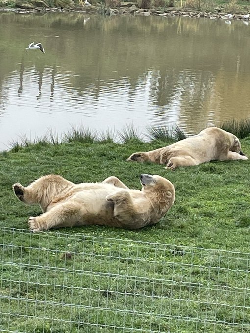 @YorkshireWP https://t.co/trtBdLSEOA<a class="tags" target="_blank" title="On Twitter" href="/?out=eyJ0eXAiOiJKV1QiLCJhbGciOiJIUzUxMiJ9.eyJpYXQiOjE3MjU4ODkxNzUsImlzcyI6InR3cG9ybnN0YXJzLmNvbSIsIm5iZiI6MTcyNTg4OTE3NSwiZXhwIjoxNzU3NDI1MTc1LCJyZWRpcmVjdF91cmwiOiJodHRwczovL3R3aXR0ZXIuY29tL1lvcmtzaGlyZVdQIn0.5_NV6fsFwNlfHs6z11oFHmQhGkOOGfQ0_dfJ2IoEc4bWhMLL5AC2uigQ_pV9LESPn0hW2h5fsJtyD83tG1J5hA">@YorkshireWP</a>