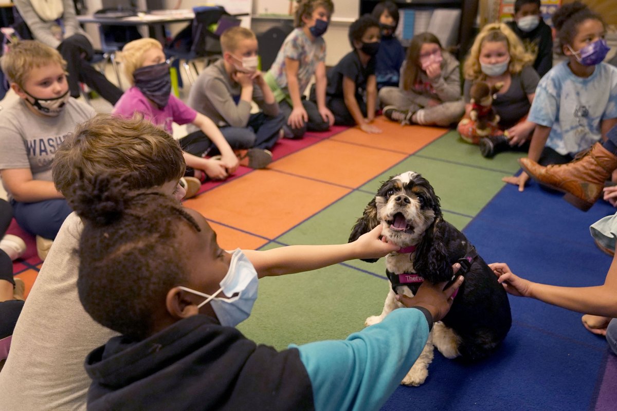 Chalkbeat's tweet photo. Last month, three major pediatric groups said the state of children’s mental health should be considered a national emergency.

“Now, the tone across the country is very focused on the well-being of students.” (with @AP) https://t.co/rztKfn2QL9 https://t.co/CNEIKzIudj