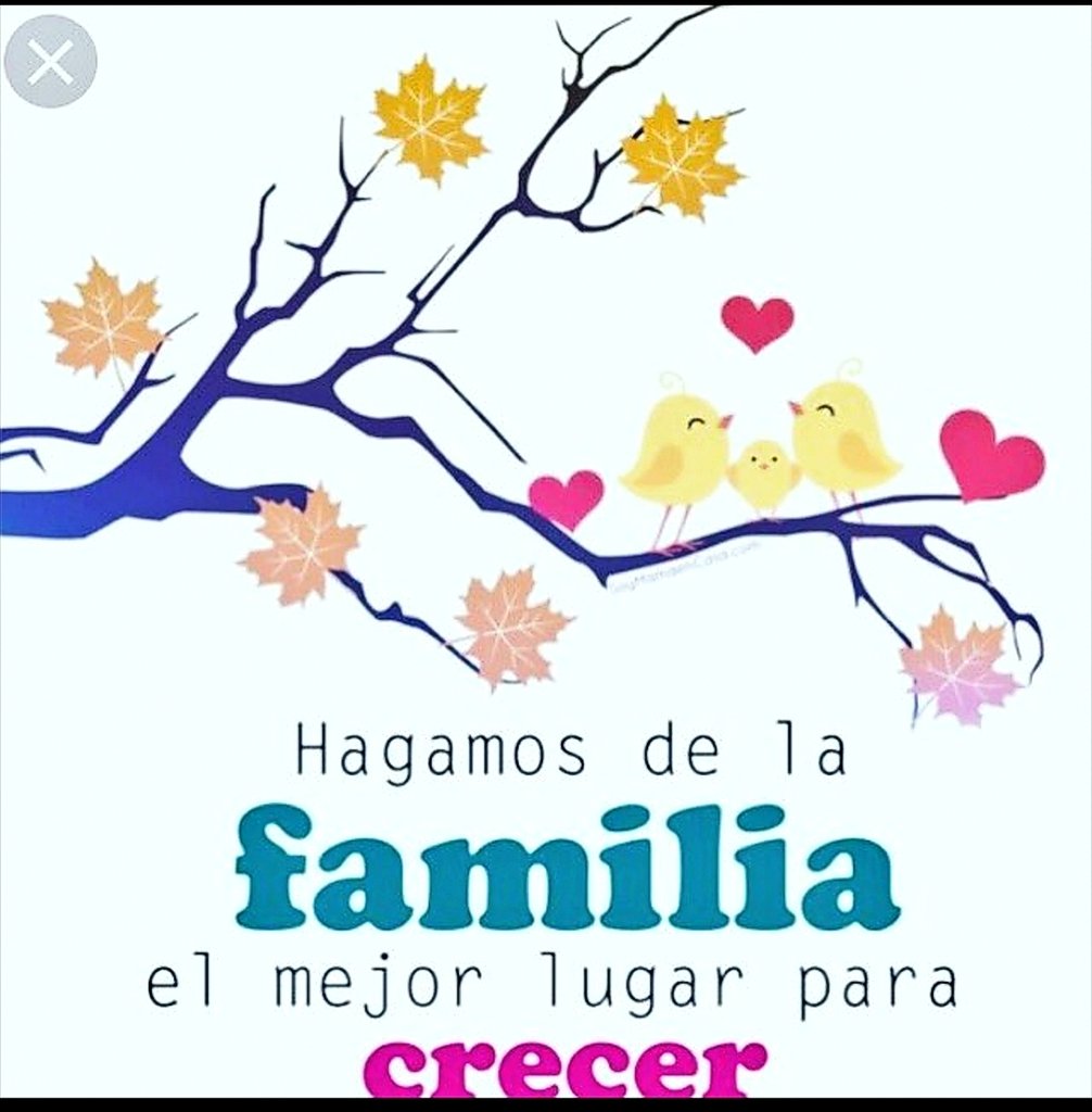 Yeinyacostave's tweet photo. Mi familia únete
#HoraNona #LaNonaPop #AxieScholar #LaNonaTeVe #Inclusion #eSports #Cryptos #Nft #DefineNormal @LaNonaPop https://t.co/neYoLJ8iww