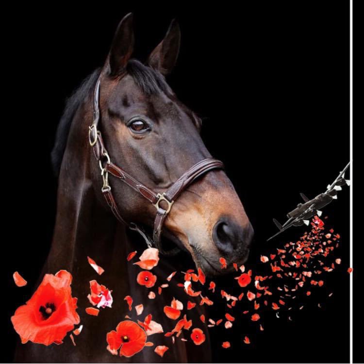 Sprinter Sacre Official (@sprinter_sacre) on Twitter photo 