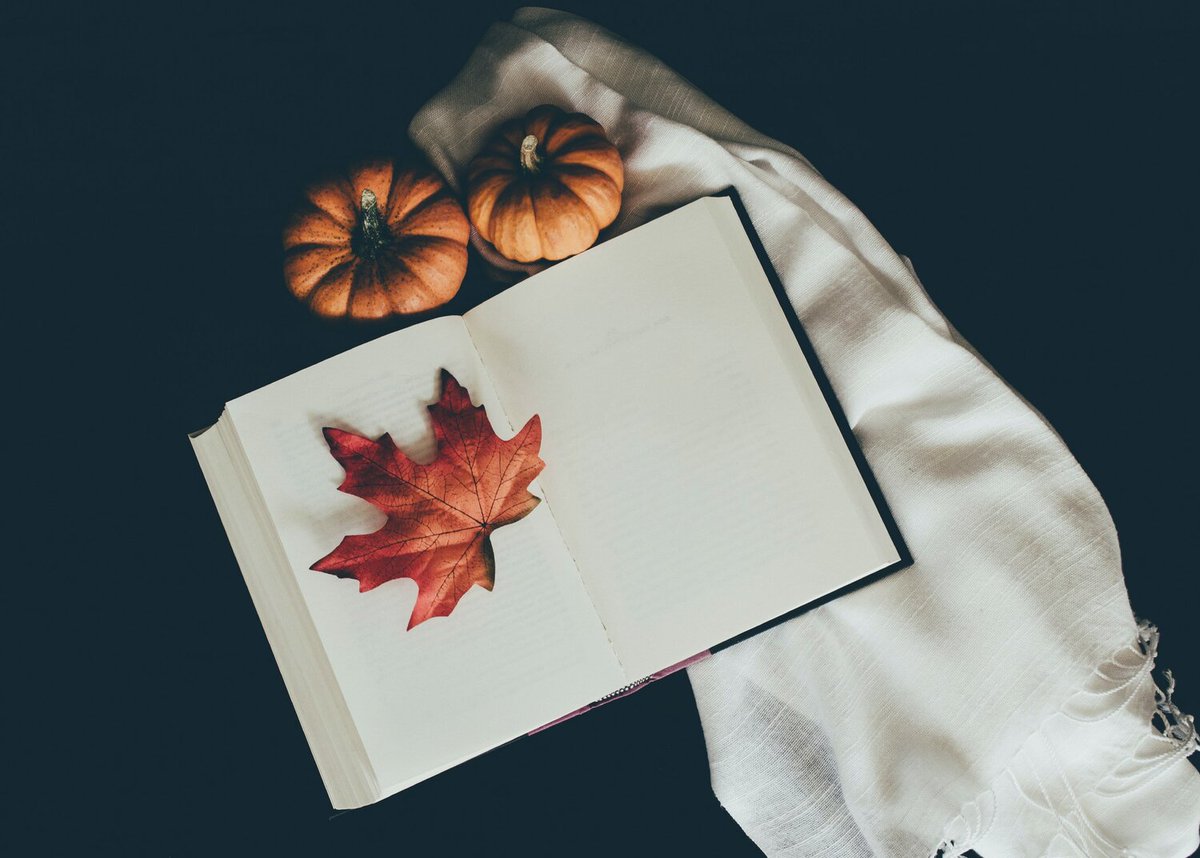 HelenWalshBooks's tweet photo. What We're Reading: Editors' Picks, Fall 2021  
@HamRevofBooks | https://t.co/R8uXMRrLxN

Cozy up with us and these great new titles!

#BookList #FallPicks #AmReading https://t.co/zRw3AeCVAg
