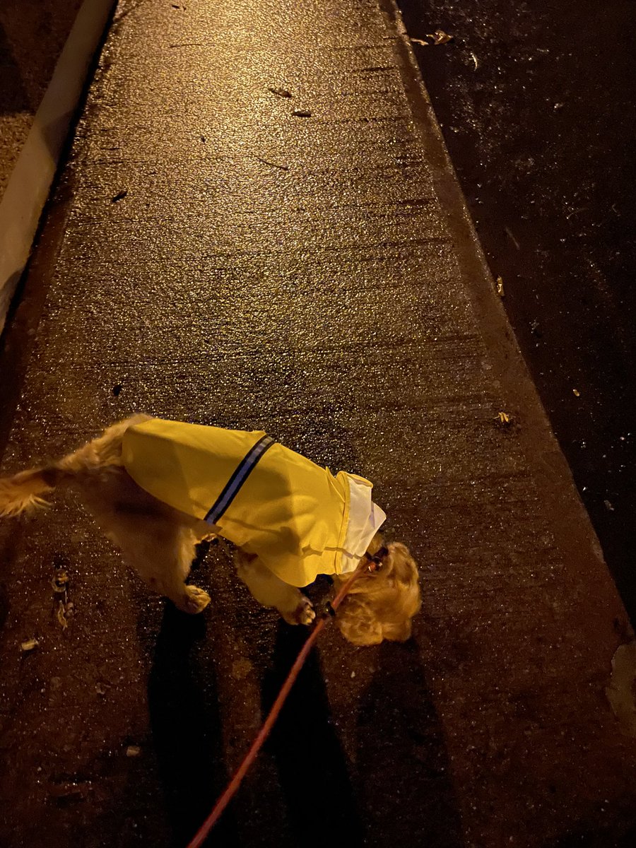 bartleygalvin's tweet photo. @BJRYAN1977 Went with the jacket this morn in the rain….be safe, be seen!!😅👌👏 https://t.co/Q5hFiGupk8