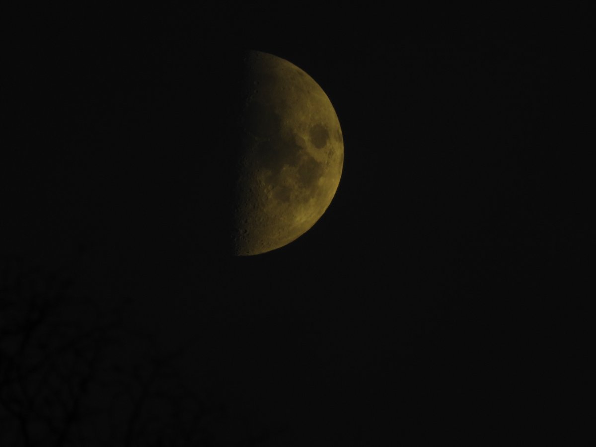 lakazel's tweet photo. Heute ist immer Familientag und es war anstrengend! 😄Aber #Mond im ersten Viertel ließ ich mir nicht entgehen, auf Bild 1 mit Jupiter. Ich liebe den Klee-Meton, über #Gärtner im #MareFrigoris ist eine regelmäßige Struktur, es war wolkig! Gute Nacht! 😴 https://t.co/zbf34Xzxnx