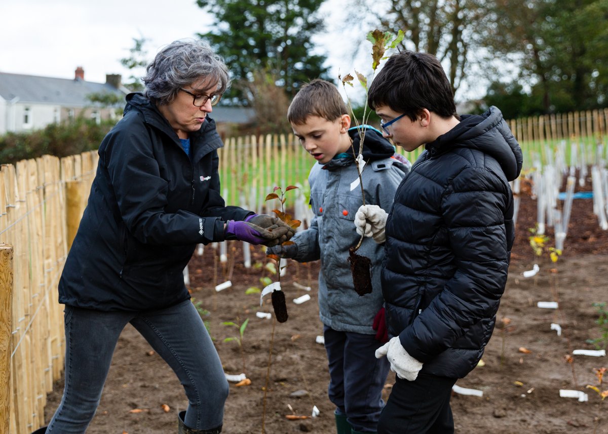 Climate Action Caerphilly tweet media