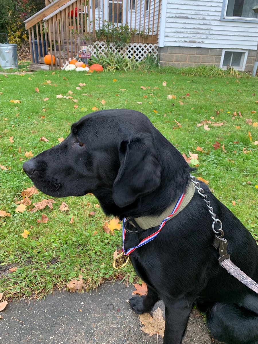 Sigma Chi CMU tweet media