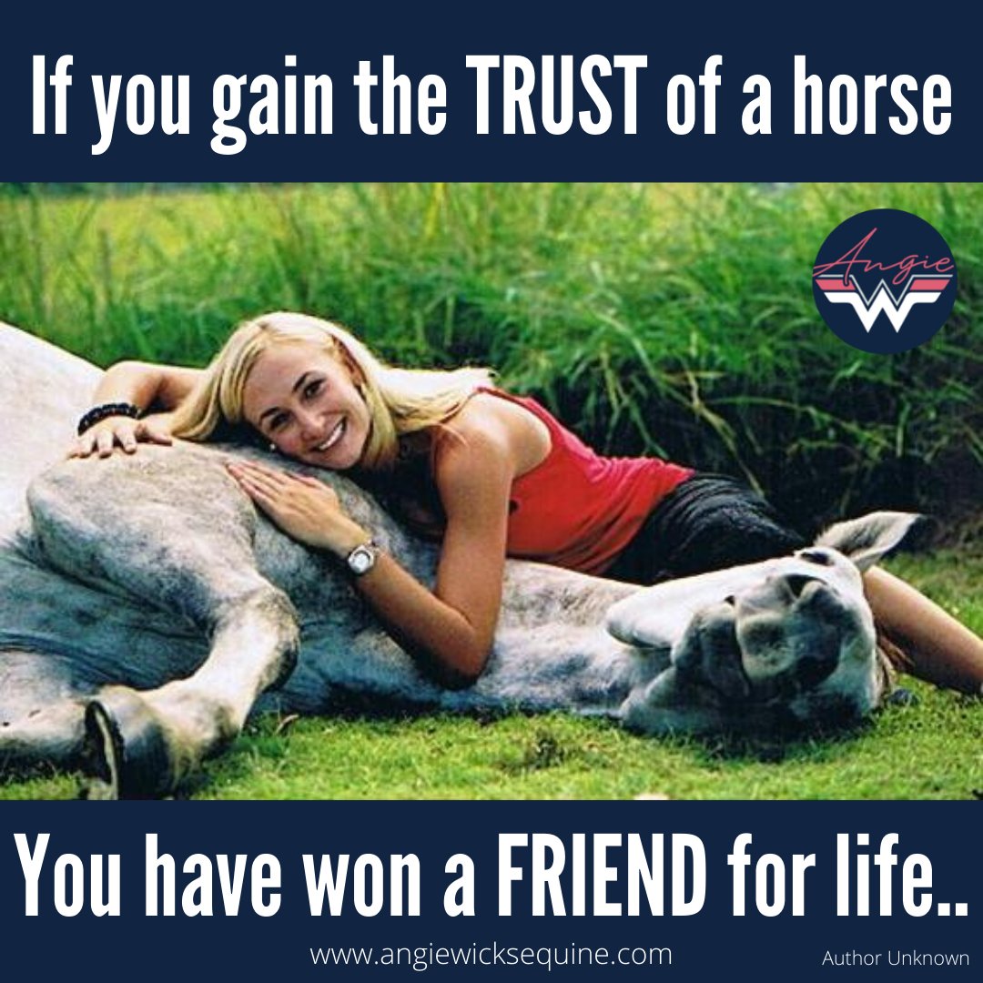 AngieEquine's tweet photo. Good Morning.....
#groundwork #libertyhorse #horsemanship #horselover #equestrian #libertyhorsemanship
#ridinggoals #horserelationship https://t.co/fFVHn3k5MF