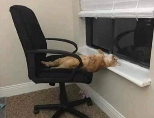 Guarromantico_'s tweet photo. “Estoy harto de trabajar y trabajar, no descanso nada.”

– Yo en el trabajo: https://t.co/PnRBtsamJa