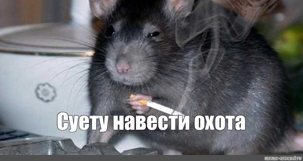nekkhab's tweet photo. как я вижу твиты @rohoteam и @ZMurodshoeva последние две недели https://t.co/YpDsn8M6qb