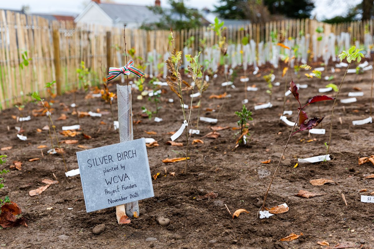 Climate Action Caerphilly tweet media