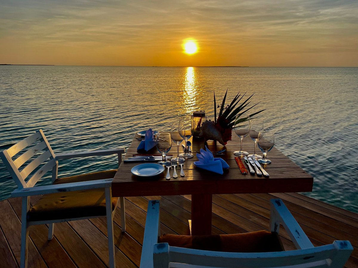 ambergriscaytci's tweet photo. β¨Special dinner on the Calico beach deck. π
#ambergriscay #privateislandresort #allinclusiveluxury #chooseyourownadventure #turksandcaicos
#ambergriscay #sunset #beachsunset #sunsetdinner #dinnerview #romanticdinner #luxuryexperience #privateisland https://t.co/lh2EhzJrms