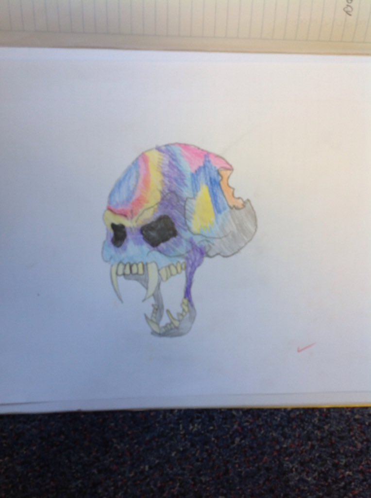 kereru_class's tweet photo. This is my holographic skull. -Emma P https://t.co/1WjWHc1gBT