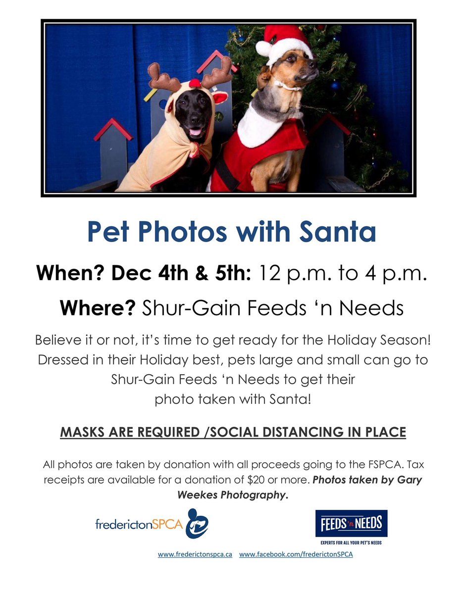Fredericton SPCA (@frederictonspca) on Twitter photo 
