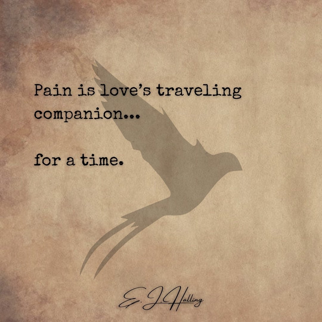 forthhallingas's tweet photo. #Poetry https://t.co/xo8s6pAygu