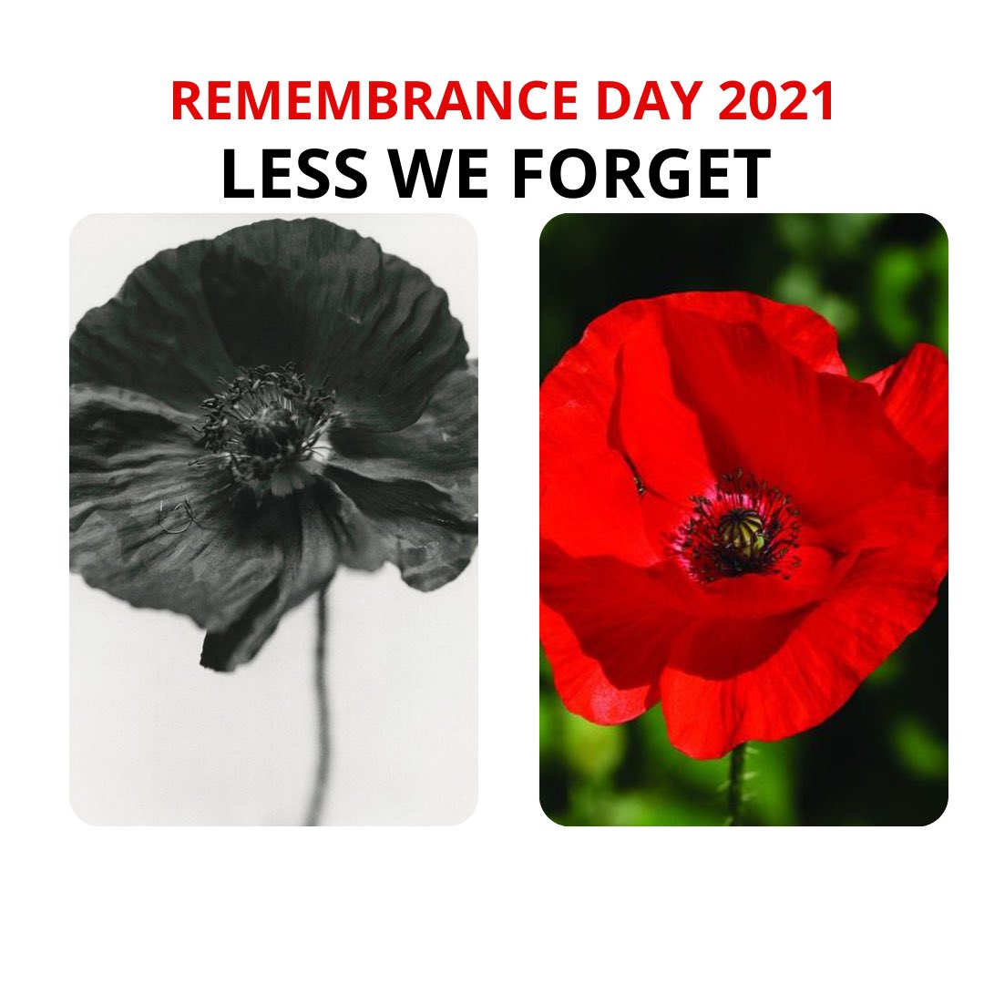 Sisters_Can's tweet photo. #RemembranceDay2021 https://t.co/lp0AZK8bKb