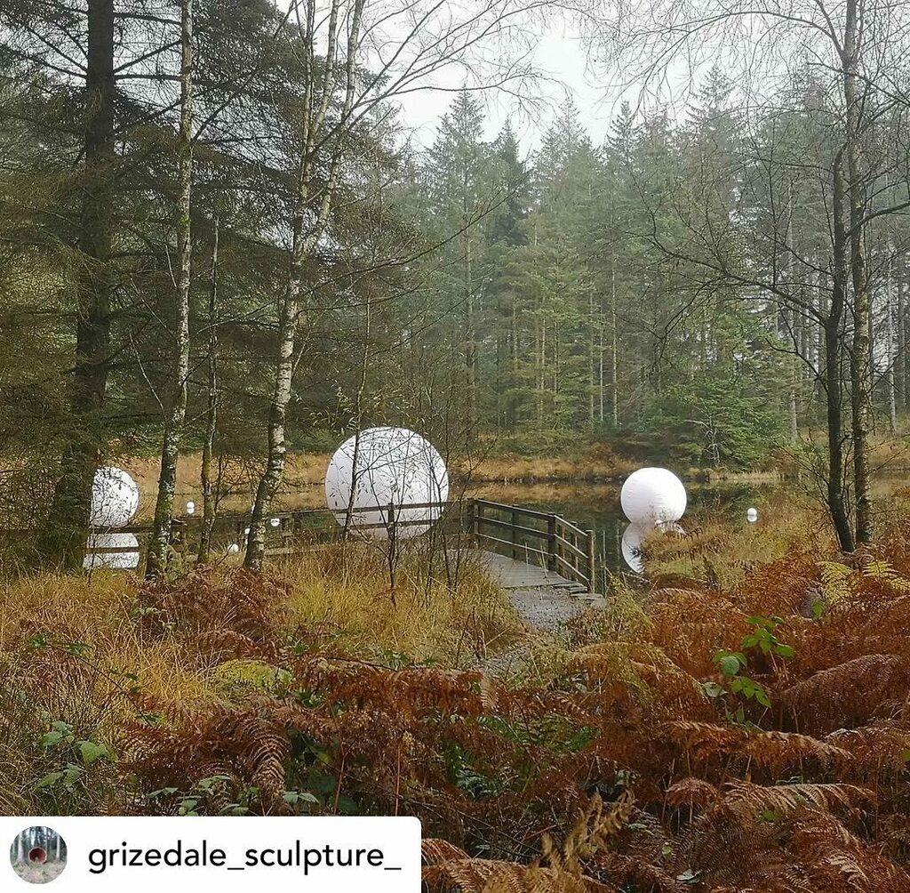 rougeit's tweet photo. Posted @withregram ⒠@grizedale_sculpture_ There's still time to see award winning artist Steve Messam's stunning installation at Grizedale Forest. Commissioned by Forestry England, Intrastellar is in location until the 15th November. #forestartworks⦠https://t.co/ByQ4sbmnjS https://t.co/7n43X0oFV3