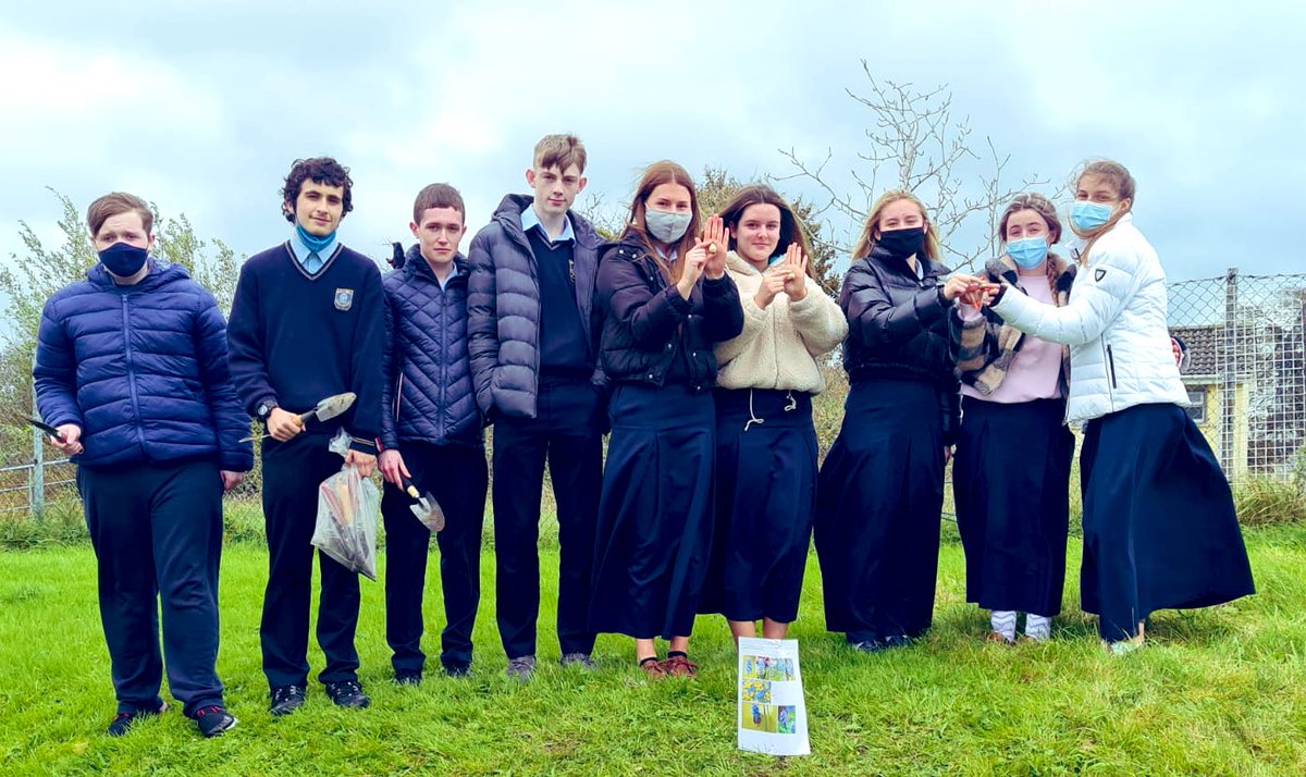 ColMhuire's tweet photo. Also for #scienceweek21 Ms.Riordan’s 5th years busy with their #bulbsforbees @GaisceAward https://t.co/NGDPIqEUGA
