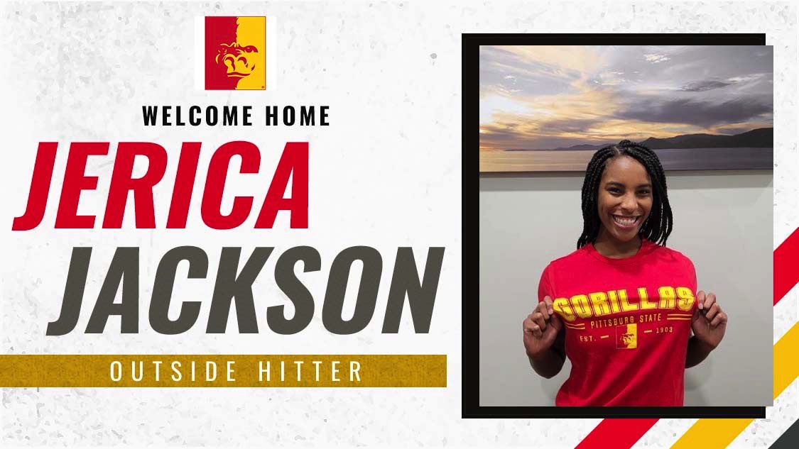 GorillasVB's tweet photo. Welcome to the jungle! 🦍🏐
#gorillanation https://t.co/C3KqyOmXIS