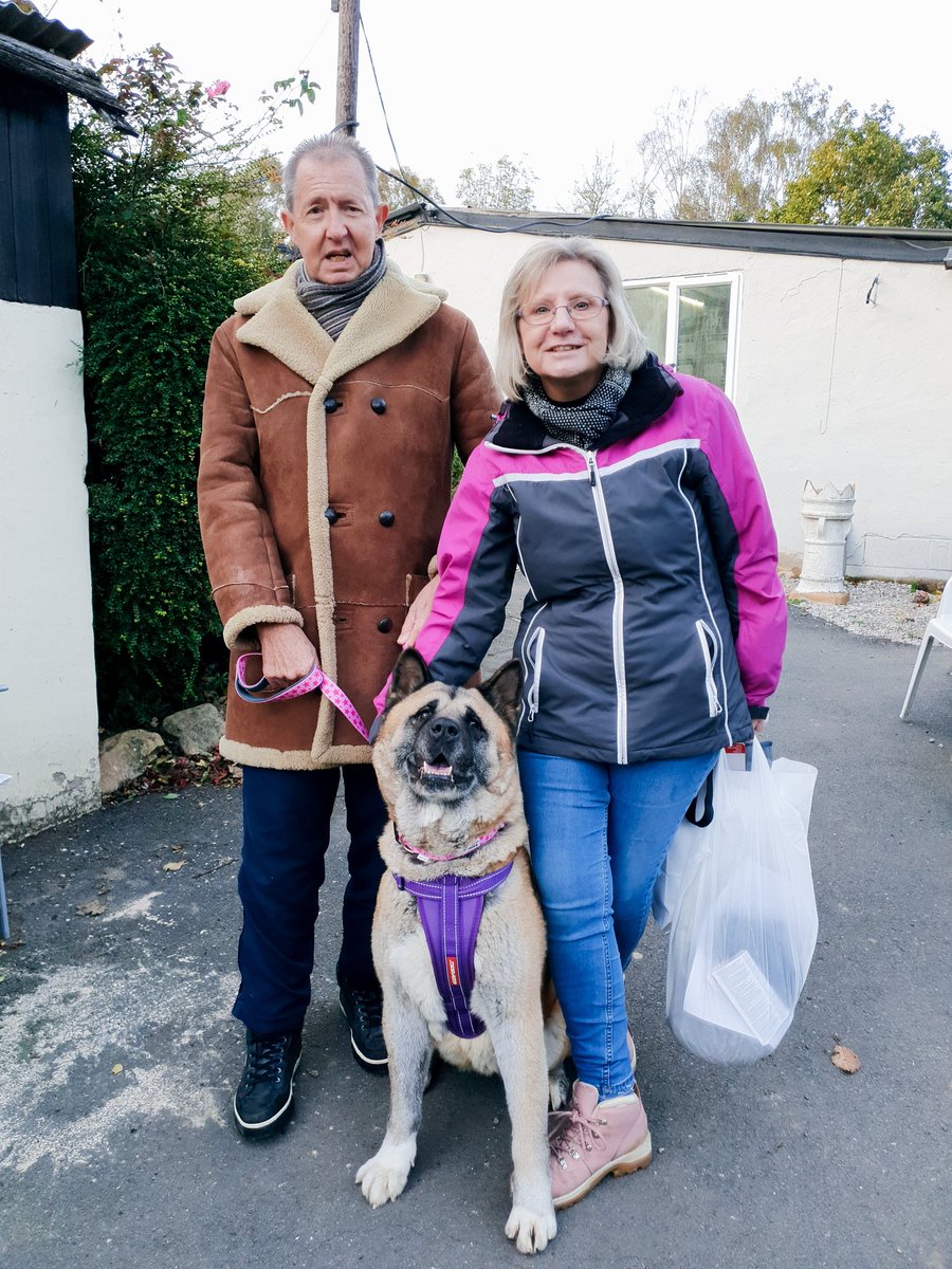 Our Zena has left us to join her new family and returning adopters Gail and Mick.

Be happy Zena x