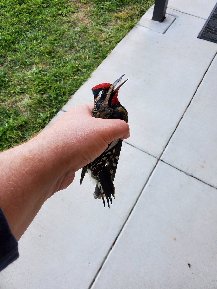 ScottLykins_WSIS tweet media