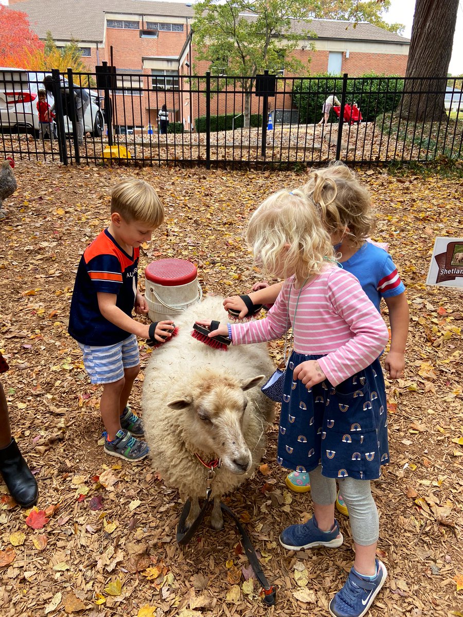 Anne Riley tweet media