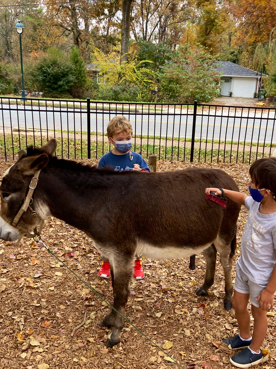 Anne Riley tweet media