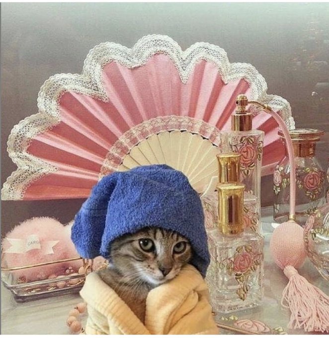 @kiltempest https://t.co/eoGhWamotd<a class="tags" target="_blank" title="On Twitter" href="/?out=eyJ0eXAiOiJKV1QiLCJhbGciOiJIUzUxMiJ9.eyJpYXQiOjE3MjAxODA1NzgsImlzcyI6InR3cG9ybnN0YXJzLmNvbSIsIm5iZiI6MTcyMDE4MDU3OCwiZXhwIjoxNzUxNzE2NTc4LCJyZWRpcmVjdF91cmwiOiJodHRwczovL3R3aXR0ZXIuY29tL2tpbHRlbXBlc3QifQ.YNX3HNzYaN4tVQ0U-lHrYNWAcYzjhPp5TieHWUBcTSt5zkGDCW3f-z0v8u2_ffyke8IfEg58oanoEzMuitbSuA">@kiltempest</a>