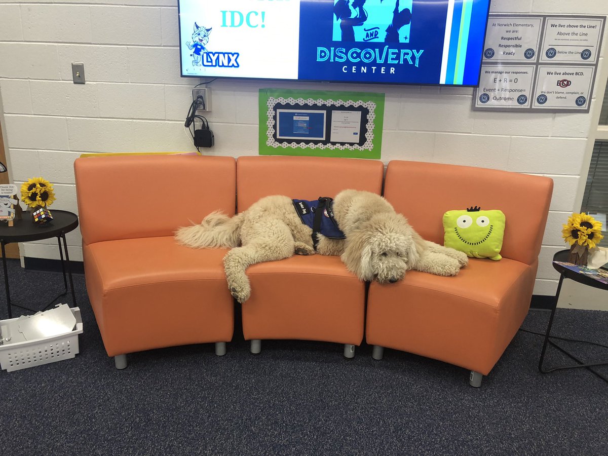 Everyone loves a visit to the <a href="/BNLC_HCSD/">Britton Norwich Learning Campus</a> IDC. #HSCDInnovate #BNcredible #workingdog <a href="/HilliardSchools/">Hilliard Schools</a>  <a href="/miss_slattery/">✏️ Miss Slattery</a>