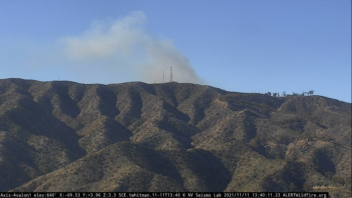 Smoke is showing on the Avalon 1 camera. #LACoFD has a response coming. PulsePoint has it at 215 Sumner Avenue.

#Catalina