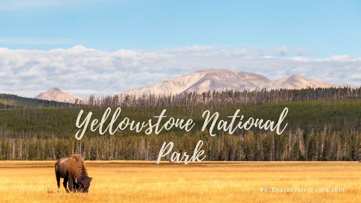 backpackerstore's tweet image. Yellowstone national park; World's first national park
#YellowstoneNationalPark
#USNationalPark
#WorldsFirstNationalPark