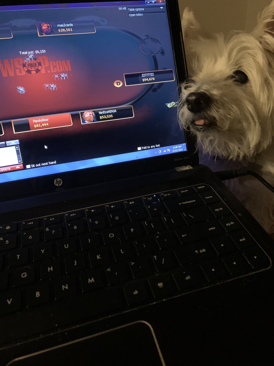It’s <a href="/WSOP/">WSOP - World Series of Poker</a>  time in Las Vegas. I love to cheer on mom at home, and my folks will go see their friends at the Rio.  <a href="/Tibbz33/">Jacob Thibodeau</a> <a href="/adam_coats/">Adam!</a> @regalbiegel <a href="/thadealah/">Andi Boss</a> #dogsoftwitter #westie #poker #WOŚP #zeus