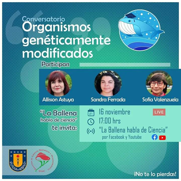 SandraFerrada's tweet photo. Este martes 16 de noviembre a las 17 hrs estaré junto a @sofia_valenzuel y Allison Astuya en el conversatorio de Organismos Genéticamente Modificados

Acá la info 👇👇👇 https://t.co/R4A9AxzrOm https://t.co/Fh0y0Mss6J