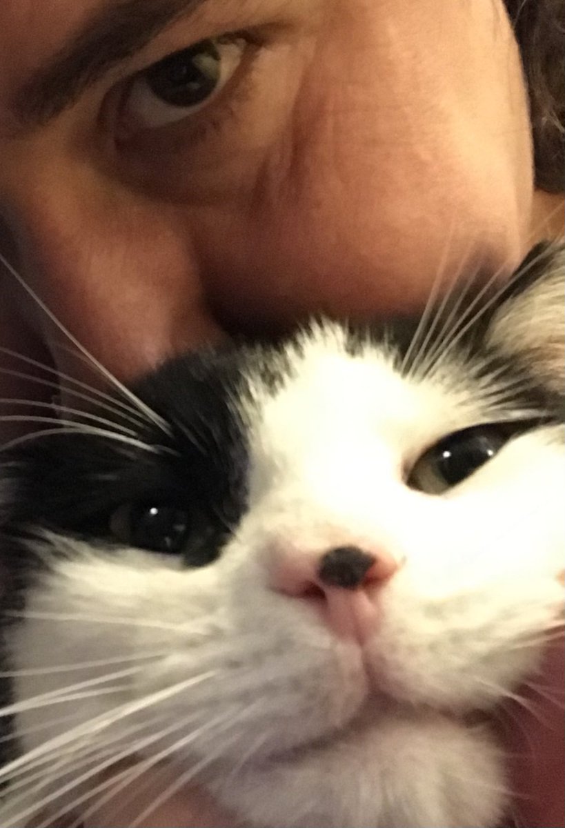 Mary Pearson tweet media