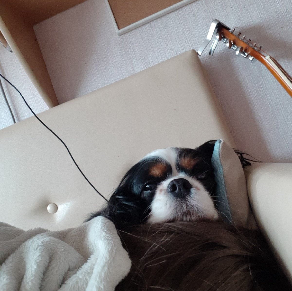 Gabriel04268053's tweet photo. Смотрите, это моя собака
Скучаю по ней, постоянно уезжаю в другой город на несколько недель... https://t.co/FtnQHoHVJg