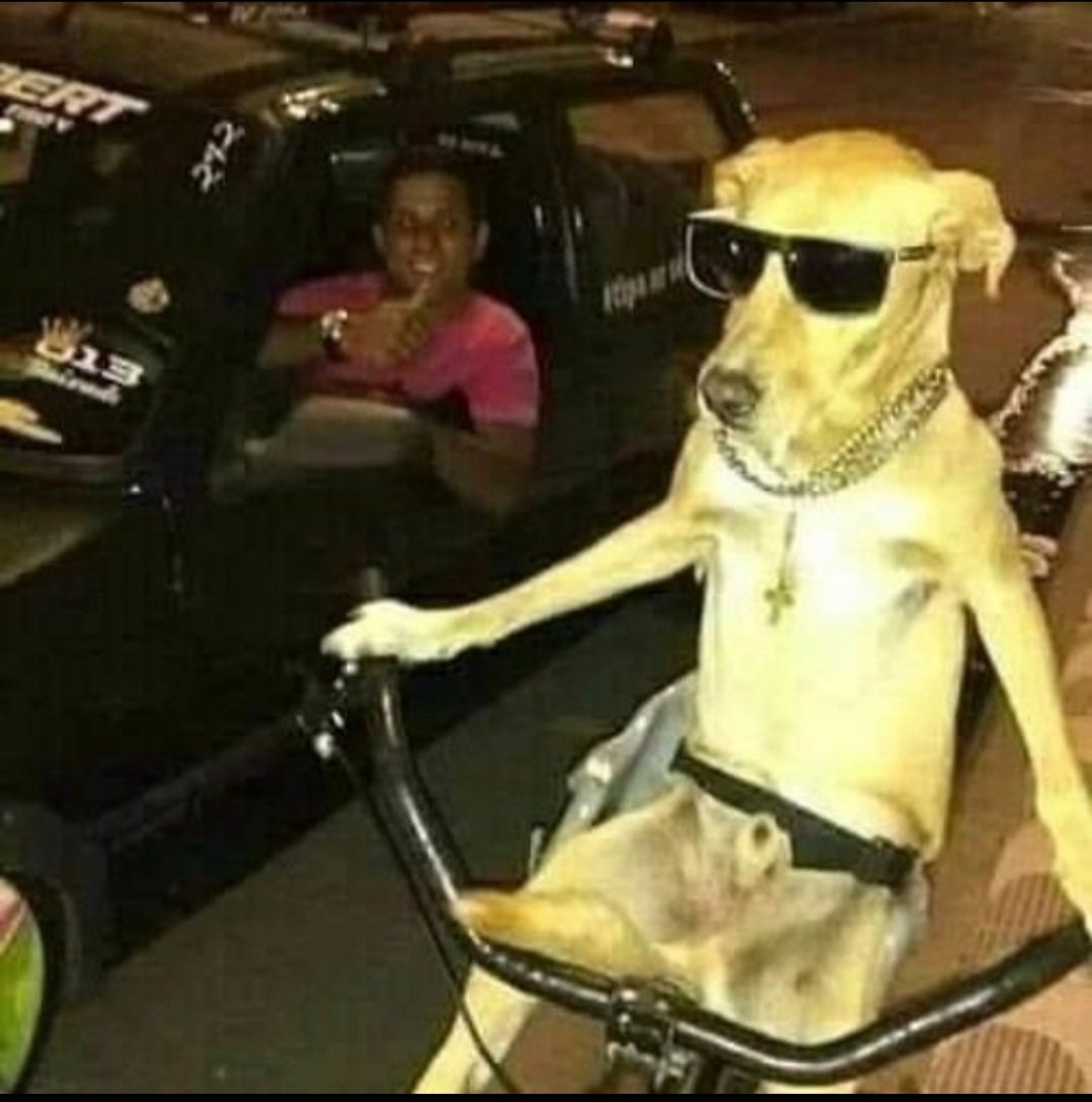 cloudedaries's tweet photo. Me watching everyone I know ride a bike while I congratulate them on their bravery in which I do not have https://t.co/YDyEfOXUDj