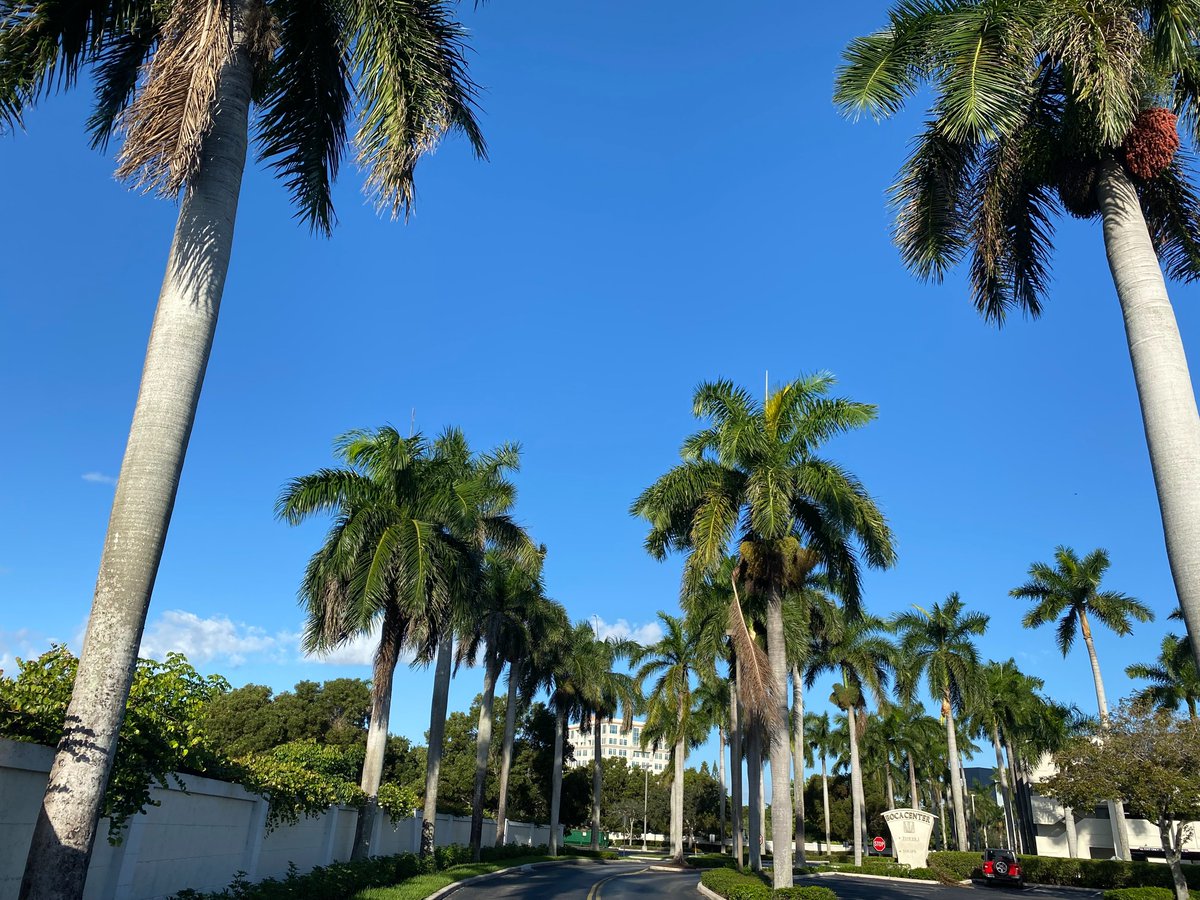 ripKurrent tweet media