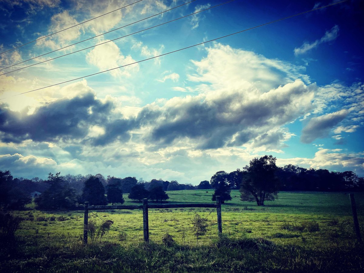RiverTrailPTO's tweet photo. SPARKS Inspiration: A full speed ahead life sometimes hits a sudden slowdown. The only choice is a detour. Sometimes the unexpected paths lead to something wonderful in between. Be easy on yourself and enjoy the scenery in your life story. -Jackson County, GA #rtmswolves https://t.co/HKH4eMhF2I