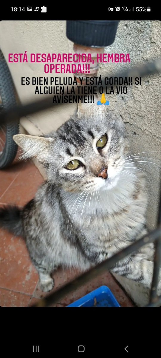 Si me ayudan con rt para difundir se los re agradecería <3