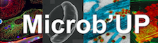 FNiedergang's tweet photo. Next meeting of the #MicrobUP network will be held @Univ_Paris on December 3rd: a focus on new pedagogic approaches in microbiology teaching + presentations by Claire Poyart, Annick Mejean, Sylvie van der Werf + selected talks from abstracts! don't hesitate to submit yours! https://t.co/Z8spUbPVVe