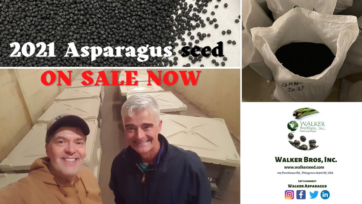 We (walkerseed.com) are happy to have a good #seed supply for our growers in the upcoming season! We strive to bring premium green #asparagus varieties and seeds to give the farmers the best opportunity to succeed. #espárrago #asperge #アスパラガス #măngtây #semillas