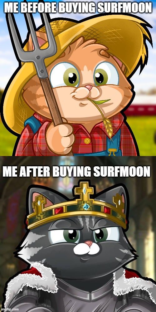 Onyy55's tweet photo. THIS IS LITERALLY ME WHEN I BOUGHT #SURFMOON ππ #surfmoontoken #contest #bsc #gem https://t.co/BCckWVkGiX