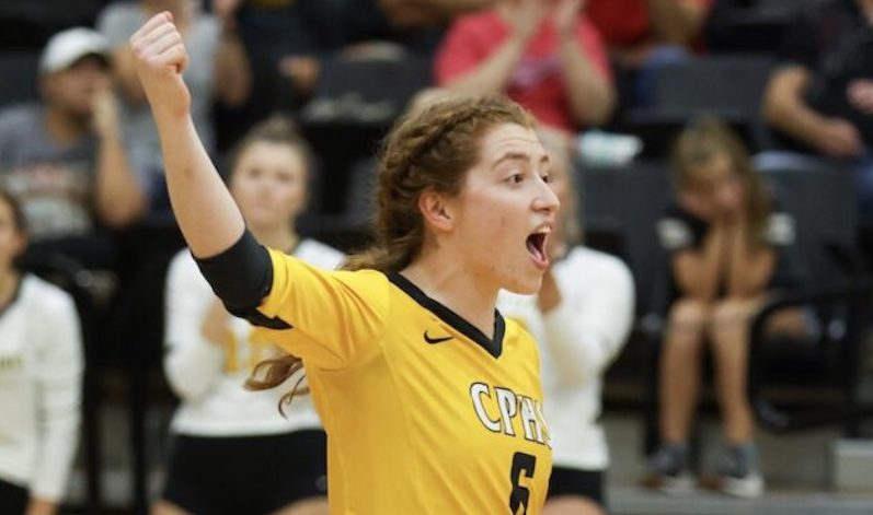 Sandite Athletics tweet media