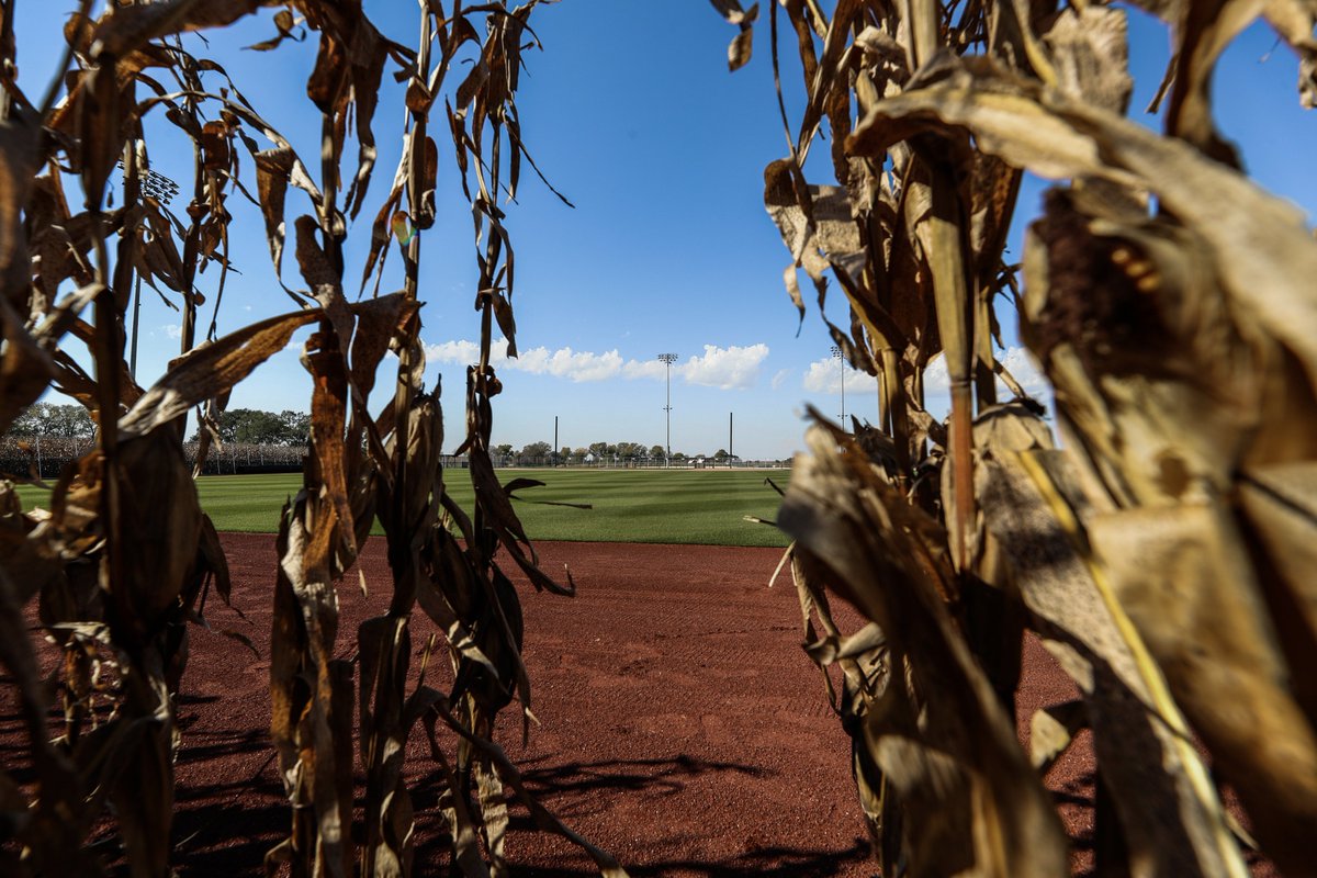 MLB's tweet photo. We are exactly 9 months away from #MLBatFieldofDreams! ⚾️🌽 https://t.co/sv1HxNo8Ac