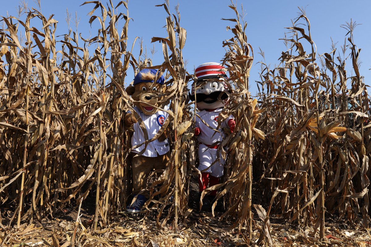 MLB's tweet photo. We are exactly 9 months away from #MLBatFieldofDreams! ⚾️🌽 https://t.co/sv1HxNo8Ac