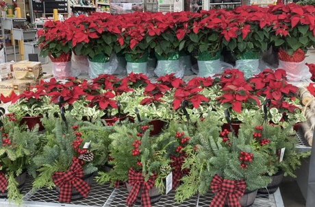 Linda Burkins (@ppslinda) on Twitter photo HD3625 Asheville #hollyjolly #holiday <a href="/Stephen_E_Camp/">Stephen Camp</a> <a href="/pps_s_atlantic/">AC</a> @PPSinHD <a href="/PPScatwilson/">Catherine</a> <a href="/BobbyBoaenTHD/">Bobby Boaen</a> <a href="/spoonholtz/">Teresa Spoonholtz</a> HD3625 Asheville #hollyjolly #holiday <a href="/Stephen_E_Camp/">Stephen Camp</a> <a href="/pps_s_atlantic/">AC</a> @PPSinHD <a href="/PPScatwilson/">Catherine</a> <a href="/BobbyBoaenTHD/">Bobby Boaen</a> <a href="/spoonholtz/">Teresa Spoonholtz</a>