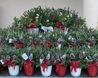 Linda Burkins tweet media