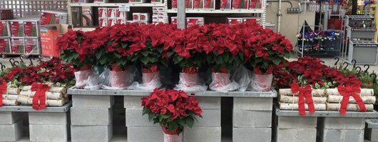 Linda Burkins tweet media