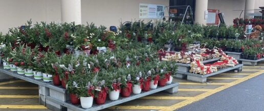 Linda Burkins tweet media