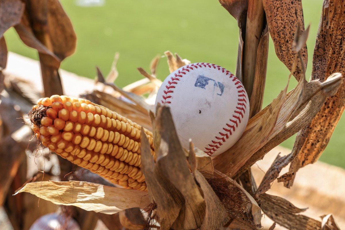 MLB's tweet photo. We are exactly 9 months away from #MLBatFieldofDreams! ⚾️🌽 https://t.co/sv1HxNo8Ac