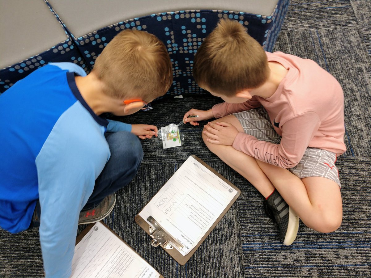 WallaceHESlib's tweet photo. Our @HESRegalEagle 3rd grade detectives followed the trails to determine which character was sharing safe and appropriate information online. #digitalcitizenship #hesshinebright #gcisdlib https://t.co/x5RJItLSAj