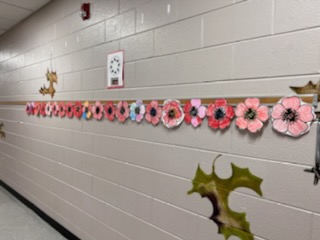 PCEBears's tweet photo. Poppies for our Veterans around PCE!!
#WeAreBC  #PCEistheplacetobe https://t.co/NFiAXhVejB